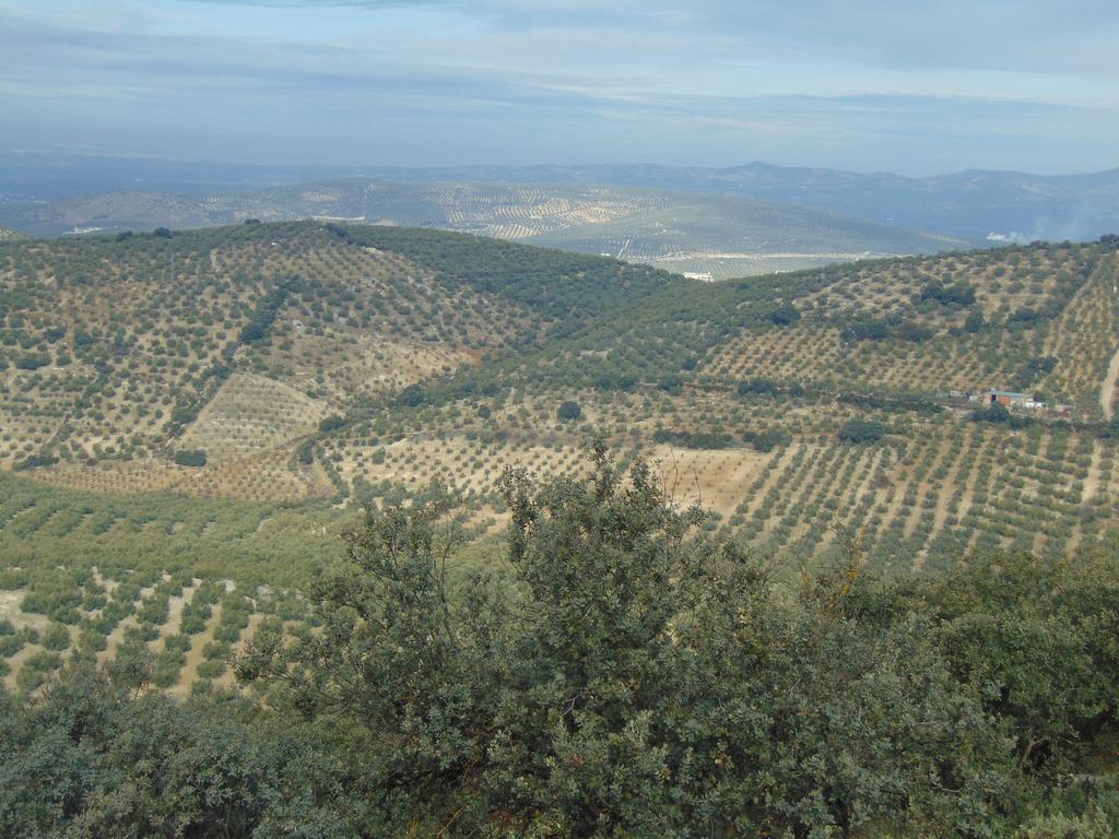 Hotel Sierra De Araceli Lucena Exteriör bild