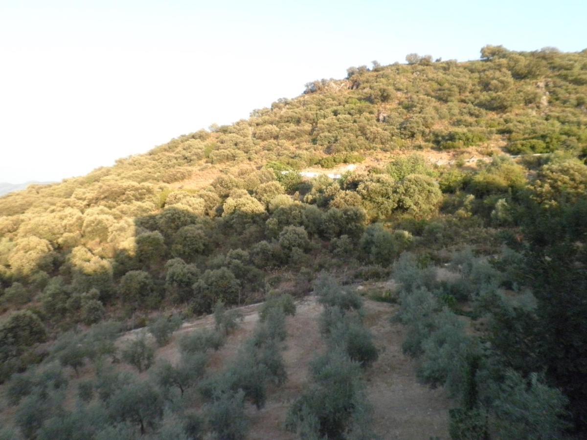 Hotel Sierra De Araceli Lucena Exteriör bild